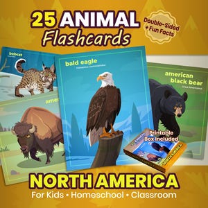 Pode incluir: Um conjunto de 25 cartões de memória de animais com ilustrações de animais da América do Norte, incluindo uma águia careca, um urso negro e um lince. Os cartões são de dupla face com factos divertidos e incluem uma caixa imprimível. O texto diz "25 Cartões de Animais" e "América do Norte".