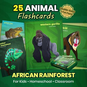 African Rainforest Animal Species Flashcards – 25 Printable Double-Sided Cards with Fun Facts & Info