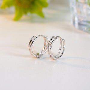 May include: A pair of silver hoop earrings. Each earring features a textured, twisted design. The earrings are presented on a white surface, with a blurred green and clear background.