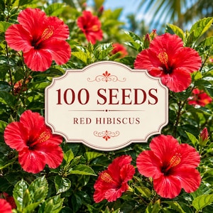 100 Red Hibiscus Seeds | Hibiscus rosa-sinensis | Tropical Red Flower Seeds | Non-GMO Garden Flowers | Bright Summer Blooms