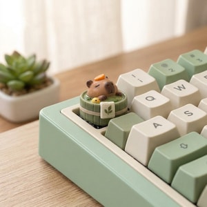May include: A custom mechanical keyboard keycap featuring a brown capybara sitting in a green wooden tub with a small yellow duck and an orange slice on its head. The keycap is installed on a light green keyboard with white and green keys.