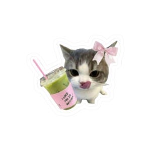 Op de afbeelding: Een sticker met een schattige kat met grijs en wit haar, met een roze strik. De kat likt zijn lippen en houdt een matcha-drankje vast met een roze hoes met de tekst "I LOVE YOU SO MATCHA".