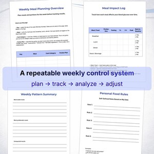 Type 2 Diabetes Workbook, Diabetic Blood Sugar Planner, Glucose Tracker Printable, Meal Impact Log, Blood Sugar Response Journal image 4