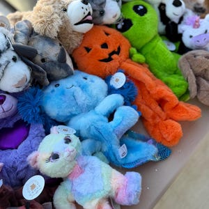 Könnte beinhalten: Eine Sammlung verschiedener Plüschtiere, darunter ein leuchtend blauer Axolotl, eine orangefarbene kürbisförmige Kreatur, eine pastellfarbene, regenbogenfarbene Katze, ein grüner Außerirdischer, ein beiger Hund und diverse andere Stofftiere mit weichen Texturen.