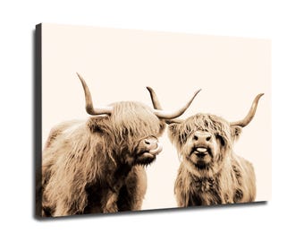 Highland Cattles Rustic Canvas Wall Art, Scottish Bull Vintage Photo Poster Print