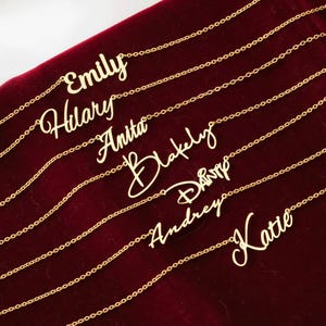 Op de afbeelding: Gouden naamkettingen op een rode fluwelen achtergrond. Elke ketting toont een andere naam in een sierlijk handschrift: Emily, Hilary, Anita, Blakely, Danny, Andrey en Katie. De kettingen zijn fijn en de namen zijn duidelijk leesbaar.
