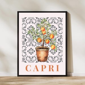 Puede incluir: Una impresión artística enmarcada que presenta una ilustración en acuarela de un pequeño naranjo en una maceta de terracota. El árbol se encuentra sobre un fondo estampado con la palabra "CAPRI" en letras naranjas en la parte inferior. La obra está enmarcada en un marco negro.