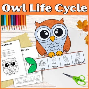 Può includere: Un kit educativo per lavoretti intitolato Owl Life Cycle con un'illustrazione di un gufo colorato, una striscia di carta con le fasi Egg, Chick, Owlet e Adult Owl, fogli di attività, matite colorate e forbici con manici verdi.