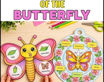 Manualidad sobre el ciclo de vida y las partes de la mariposa: actividad de aprendizaje científico (descarga digital)