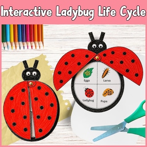 May include: An interactive ladybug life cycle craft project featuring two red and black ladybug paper cutouts. One ladybug is closed, while the other is open to reveal a circular chart labeled Eggs, Larva, Pupa, and Ladybug. Includes colored pencils and scissors.