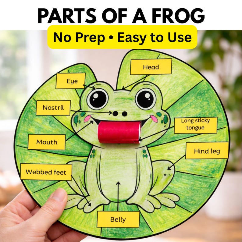 Frog Life Cycle Parts Craft, Foldable Tongue Activity, Spring Science ...