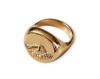 Anillo Gold Mountain Signet / Chapado en Oro de 24k / Plata de Ley / Plata 925