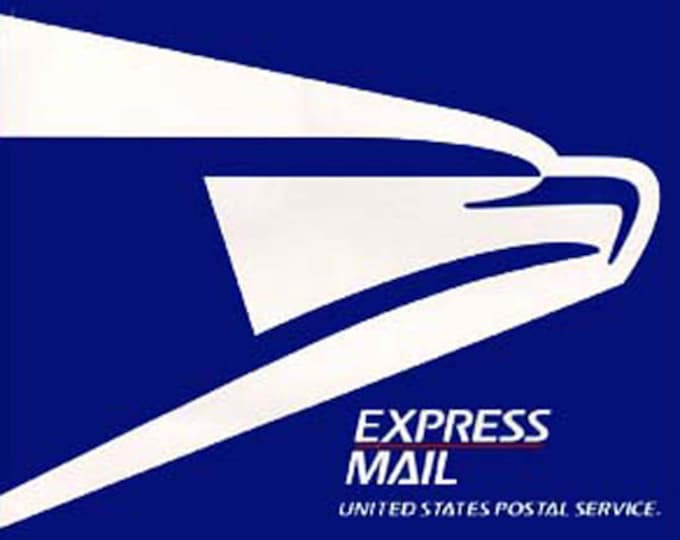 Express Shipping Upgrade- DOMESTIC ONLY