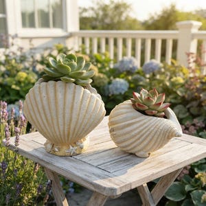 May include: Two off-white, ribbed seashell-shaped planters, each containing a green succulent plant. The larger planter features a base decorated with small shell and starfish accents, while the smaller planter has a smooth, curved shell form.