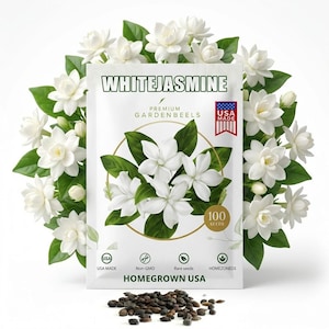 100 Jasmine Seeds - Fragrant White Blooms - Jasminum - Indoor Houseplant & Outdoor Climbing Vine - Aromatherapy Garden