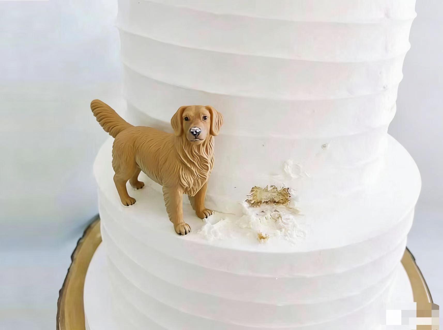 Custom Dog Cake Topper, Personalized Polymer Clay Pet Sculpture ...