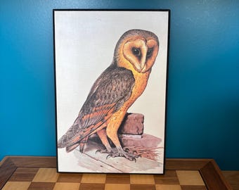 Vintage Barn Owl print.  1970s/1980s piece produced by Verkerke Reprodukties  18 x 27cm