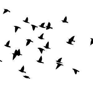 Birds Wall Decal Vinyl Wall Decal Flock of Birds Birds - Etsy