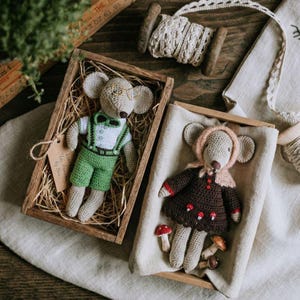 Könnte beinhalten: Zwei handgefertigte gehäkelte Mäusepuppen in Holzkisten. Eine Maus trägt grüne Shorts, ein weißes Hemd und eine Brille. Die andere Maus trägt ein braunes Kleid mit Pilzakzenten und einer rosa Kapuze. Bastelbedarf ist sichtbar.