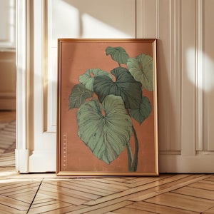 May include: A framed botanical print featuring a detailed illustration of large, green leaves against a peach-colored background. The artwork is enclosed in a gold-colored frame, adding a touch of elegance. The print is leaning against a white door.