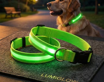 LEDライト付き犬用首輪・リード、暗闇で光るナイロン製ペット安全ライト（夜間散歩用）