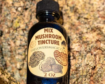 Chaga, Reishi, & Turkey Tail: Mushroom Mix Tincture
