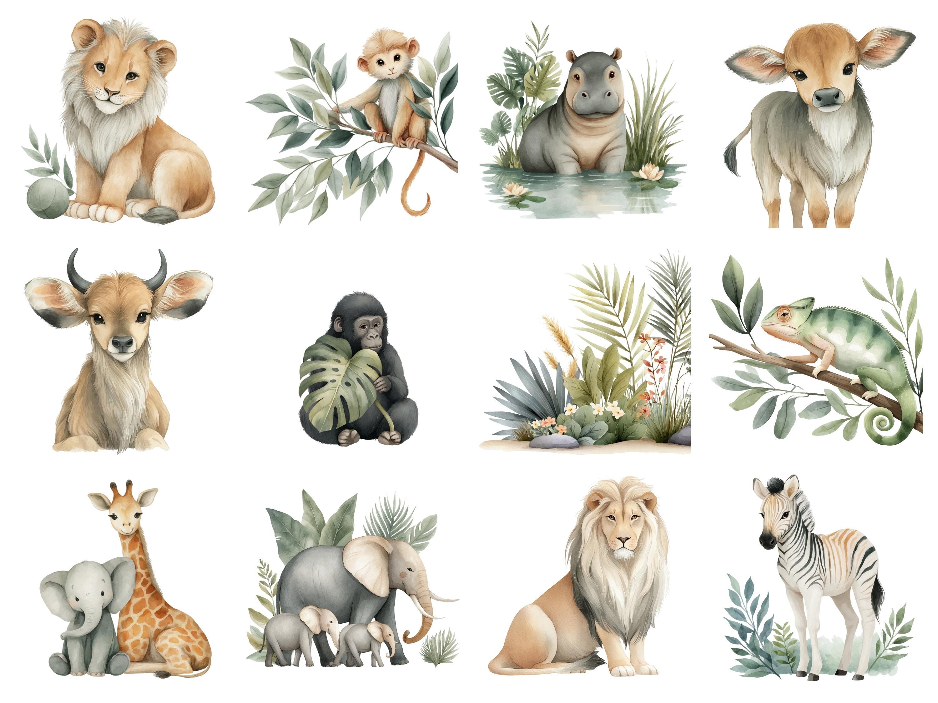 Watercolor Safari Animals Clipart, 31 Jungle Nursery PNG, Cute Baby ...