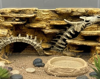 3D Background Dragon Fossil - Decoration for and Vivariums Terrariums - D&D Wargaming Terrain - Tabletop Gaming