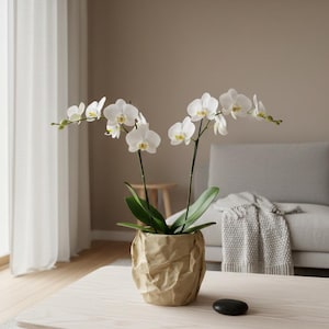 Crumpled Paper Effect Vase - Modern Minimalist Home Decor - Unique 3D Printed Flower Pot - Wabi Sabi Sculptural Planter -Neutral Desk Accent