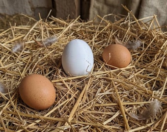 Realistische, 3D-gedruckte Nest-Eier für Hühner, weiße Attrappen-Eier für das Nistkastentraining, künstliche Geflügel-Belohnungseier, robuste Kunststoff-Attrappen-Eier