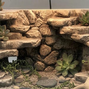 Op de afbeelding: Een decoratieve terrariumachtergrond met een rotsachtig uiterlijk. De structuur heeft meerdere niveaus met ingebouwde richels en is versierd met verschillende vetplanten en hangplanten. Het kleurenpalet bestaat uit neutrale tinten, wat een naturalistische esthetiek creëert.