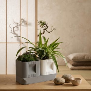 Pode incluir: Duas floreiras quadradas, uma cinza e outra branca, estão sobre uma bandeja cinza. A floreira cinza contém uma suculenta, e a floreira branca tem uma planta verde e branca. As floreiras estão sobre uma mesa de madeira, com pedras e uma tigela pequena.