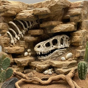May include: A tan-colored rock formation habitat featuring a fossilized dinosaur skull and rib cage embedded in the stone. The scene includes small white eggs, two green cacti, a piece of driftwood, and sandy ground, creating a desert-like display.