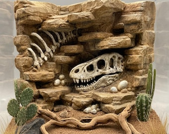 May include: A tan-colored rock formation habitat featuring a fossilized dinosaur skull and rib cage embedded in the stone. The scene includes small white eggs, two green cacti, a piece of driftwood, and sandy ground, creating a desert-like display.