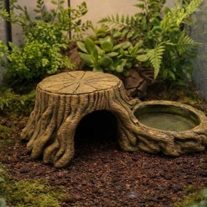 Könnte beinhalten: Detaillierte Terrariendekoration mit einem Baumstumpf mit ausgehöhltem Zentrum und einem angeschlossenen Wassernapf. Das braune und beige Harzteil ist von grünen Pflanzen und Moos umgeben.