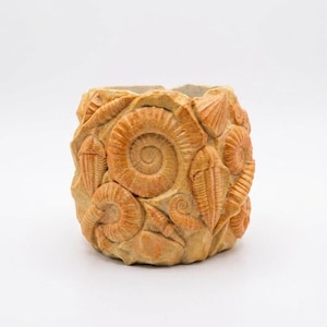 Può includere: Un vaso cilindrico beige con un rilievo dettagliato di varie creature marine fossilizzate, tra cui ammoniti e trilobiti. Il vaso è realizzato in un materiale simile alla pietra e ha una superficie ruvida e strutturata. I fossili sono in tonalità arancioni e marroni.
