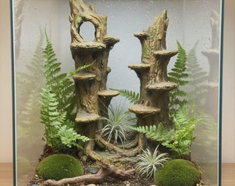 3D-Hintergrund – Geteilter Wald – Dekoration für Vivarien und Terrarien – D&D-Tabletop-Gelände