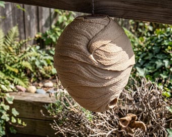 Nido di vespe stampato in 3D - Falso nido di vespe - Repellente naturale per vespe - Nido di corna realistico - Decorazione da giardino per esterni - Esca da appendere
