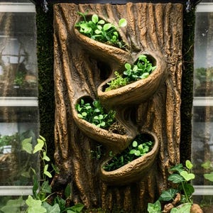 Può includere: Un pannello di sfondo per terrario verticale caratterizzato da un design a corteccia d'albero marrone testurizzato con quattro tasche di piantagione curve integrate. Ogni tasca contiene piccole piante artificiali verdi, creando un aspetto naturale.