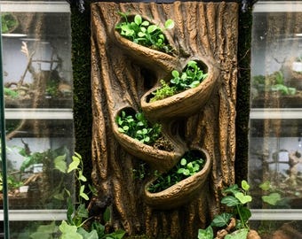 3D Terrarium Background Root - Natural Tree Bark Texture Vivarium Wall Decor - Terrarium and Vivarium Decor - D&D Wargaming Terrain