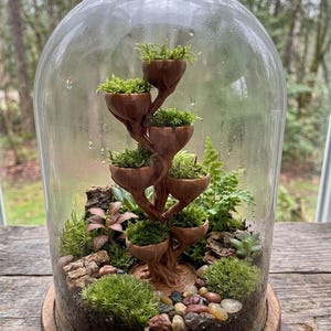 Op de afbeelding: Een glazen stolp-terrarium met een bruine, meerlaagse, boomvormige plantenstructuur gevuld met groen mos. De basis bevat aarde, kleine kleurrijke kiezels, stukjes schors, een kleine varen en een plant met roze nerven onder de glazen koepel.