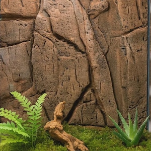 Pode incluir: Um terrário de vidro com um painel de fundo texturizado que imita rocha castanha. O interior inclui um feto verde, um pequeno pedaço de madeira flutuante, uma planta suculenta verde e uma camada de musgo verde a cobrir a base.