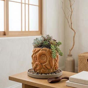 Pode incluir: Um vaso decorativo, texturizado, cor terracota, com um design de fósseis, preenchido com várias suculentas. O vaso está sobre uma bandeja cinza com pequenas pedras.