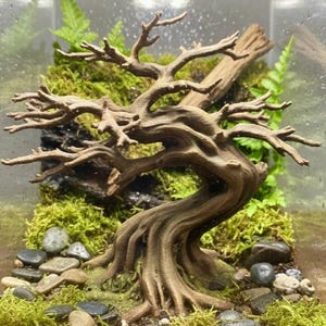 Könnte beinhalten: Ein Miniatur-Terrarium mit einem Bonsai-Baum. Der Baum mit seinem verdrehten Stamm und den Ästen ist von grünem Moos, kleinen Steinen und Farnen umgeben. Das Ganze befindet sich in einem Glasbehälter, was eine natürliche und ruhige Atmosphäre schafft.