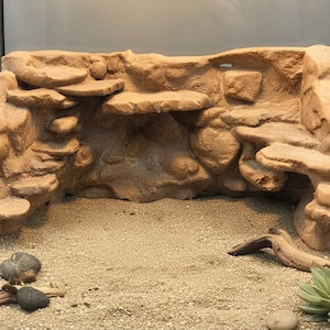 May include: A tan, textured reptile terrarium background featuring multiple flat, protruding rock-like ledges for climbing. The structure is set against a sandy floor with scattered small grey stones, a piece of driftwood, and a green succulent plant.