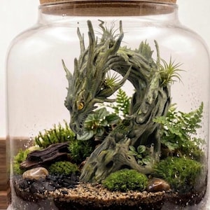 Könnte beinhalten: Ein Glas-Terrarium mit Korkdeckel, das eine grüne Drachenfigur aus geformtem Material enthält, die wie verwittertes Holz aussieht. Der Drache ist umgeben von lebendem grünem Moos, kleinen Farnen, dunkler Erde, Sand und glatten Kieselsteinen.