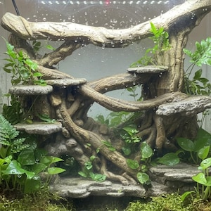 May include: A terrarium enclosure featuring a large, textured brown resin tree root structure with multiple flat, stone-like platforms for climbing. The setup includes green fern and pothos plants, mossy ground cover, and water droplets on the glass.