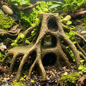 Pode incluir: Um ornamento de aquário castanho e texturizado em forma de sistema de raízes de mangue, com múltiplas aberturas em arco e câmaras ocas. A estrutura apresenta um acabamento desgastado semelhante a casca e está rodeada por plantas.