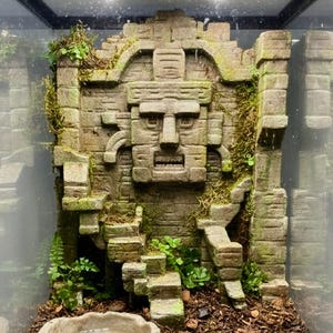 Könnte beinhalten: Ein Terrarien-Hintergrund mit einer steinartigen Skulptur eines antiken Gesichts mit geometrischen Schnitzereien, integrierten Treppen und architektonischen Ruinen. Die Struktur ist mit grünem Moos und kleinen Farnen in einem Glasgehäuse verziert.