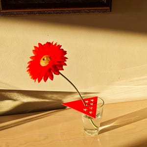 May include: A bright red gerbera daisy in a clear glass with water, held by a red triangular flower holder. The flower sits on a wooden surface, with a framed picture in the background.